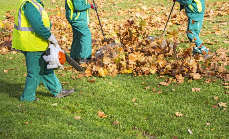 Efficient Leaf Mulching