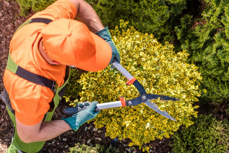 Pruning Tools